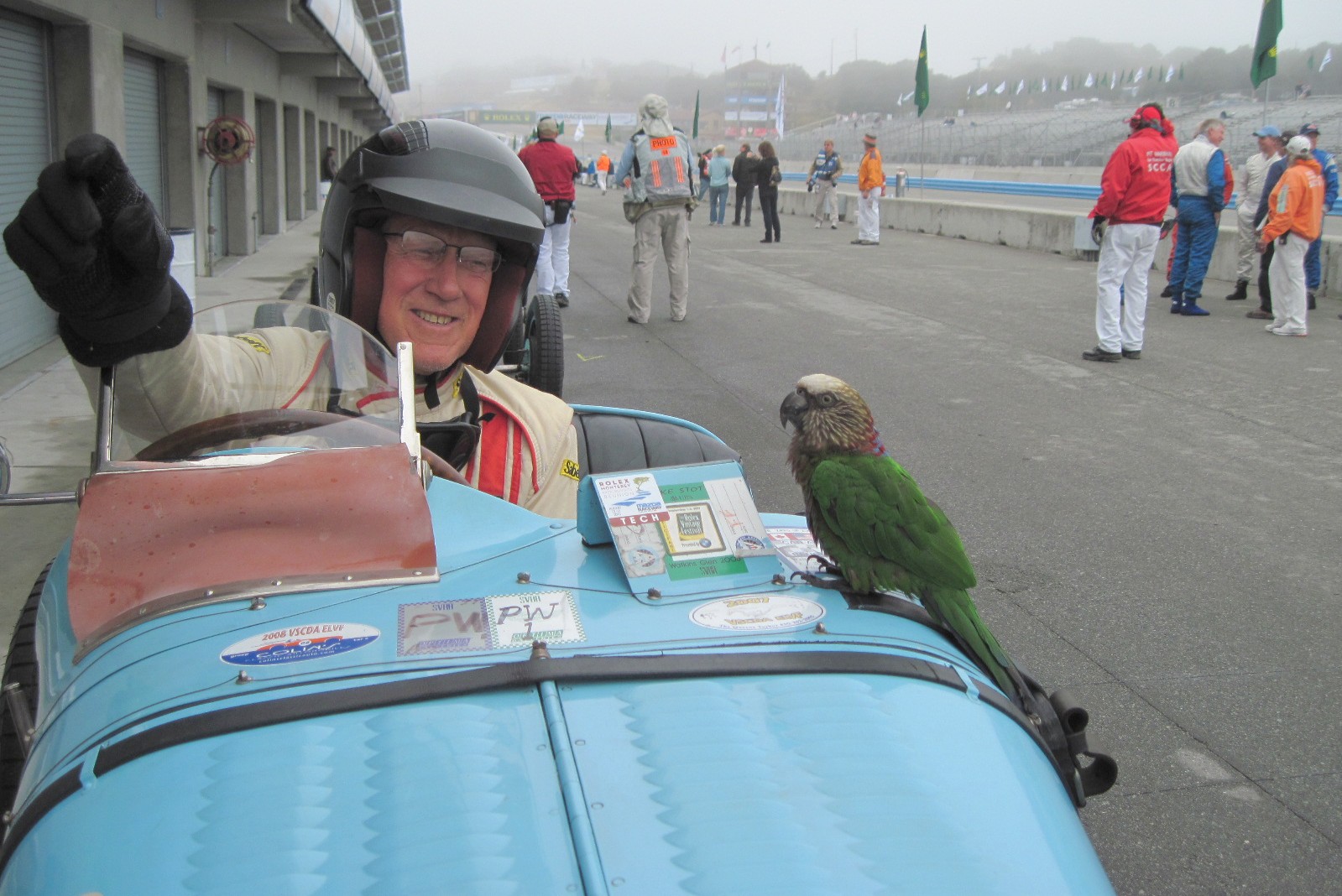 Claude, the parrott